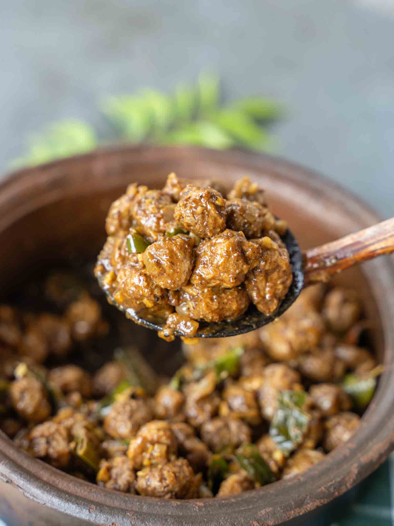 Sri Lankan soy soya meat curry
